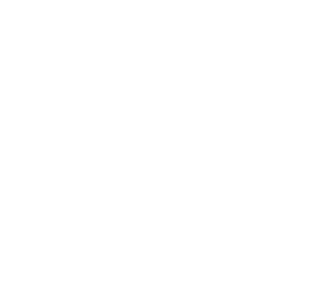 Securyglass — logo